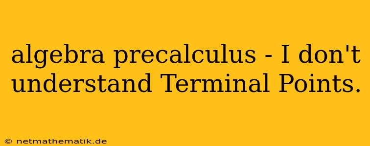 Algebra Precalculus - I Don't Understand Terminal Points.