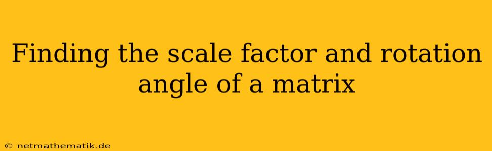 Finding The Scale Factor And Rotation Angle Of A Matrix