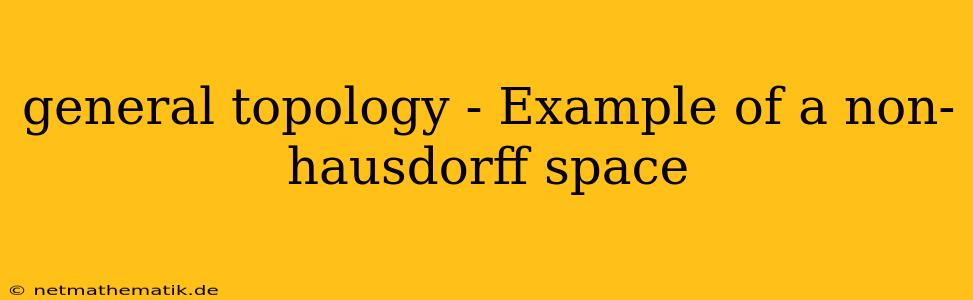 General Topology - Example Of A Non-hausdorff Space