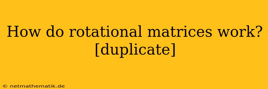 How Do Rotational Matrices Work? [duplicate]