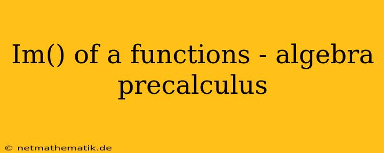 Im() Of A Functions - Algebra Precalculus