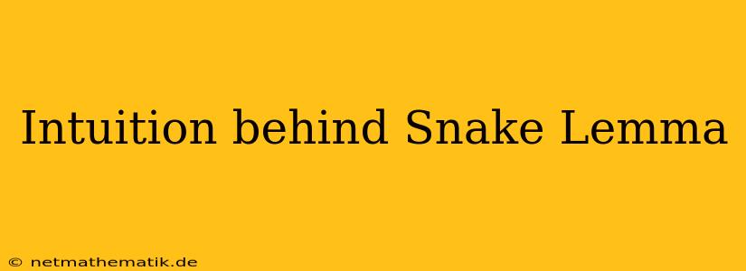 Intuition Behind Snake Lemma