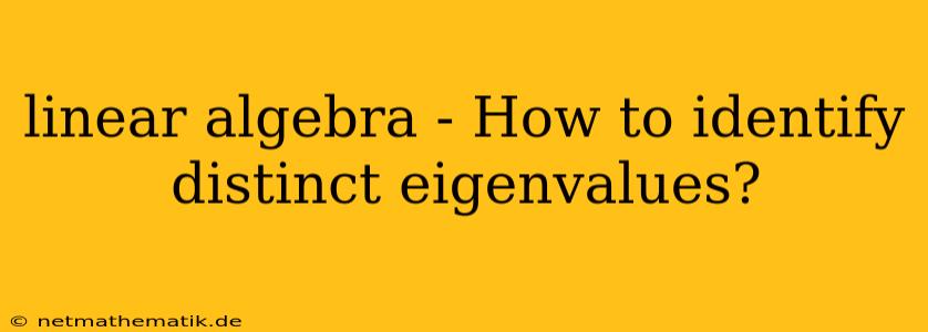 Linear Algebra - How To Identify Distinct Eigenvalues?