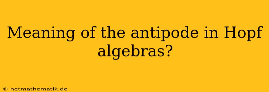 Meaning Of The Antipode In Hopf Algebras?