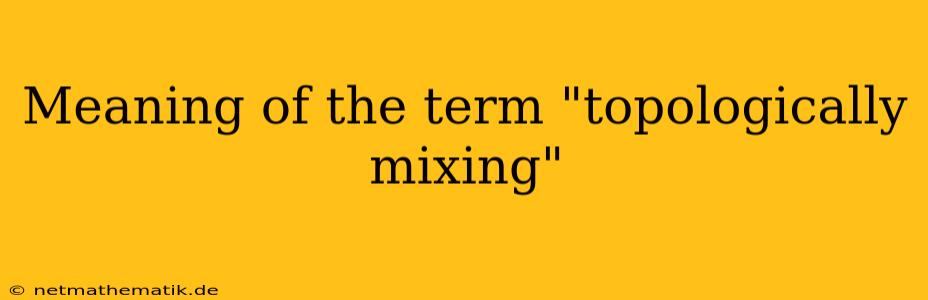 Meaning Of The Term 