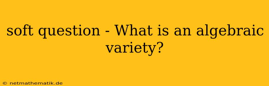 Soft Question - What Is An Algebraic Variety?