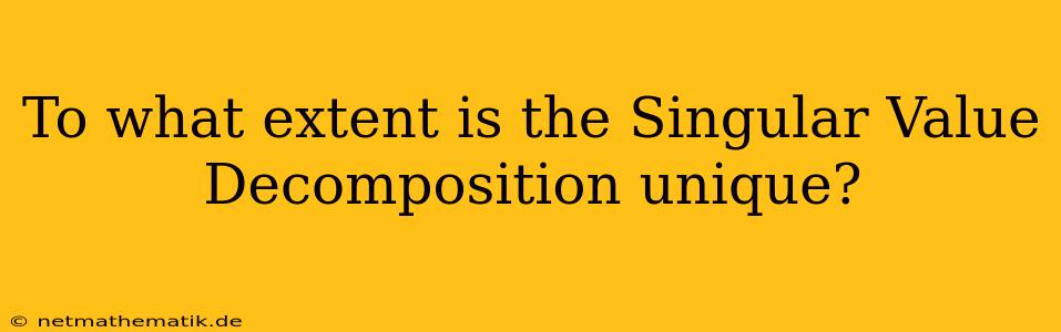 To What Extent Is The Singular Value Decomposition Unique?