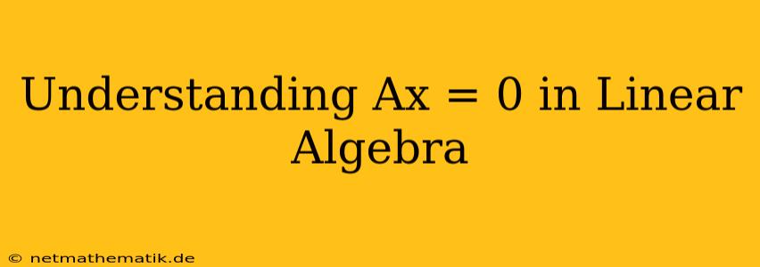 Understanding Ax = 0 In Linear Algebra