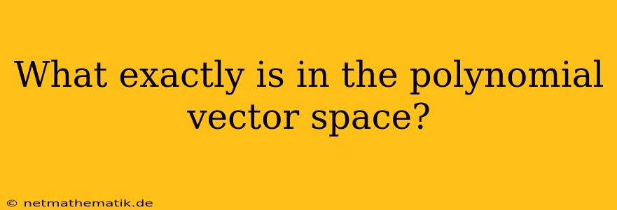 What Exactly Is In The Polynomial Vector Space?