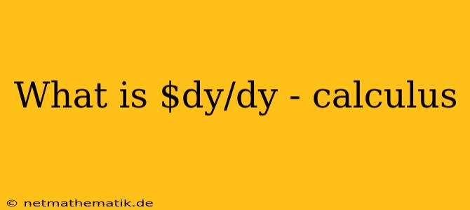 What Is $dy/dy - Calculus