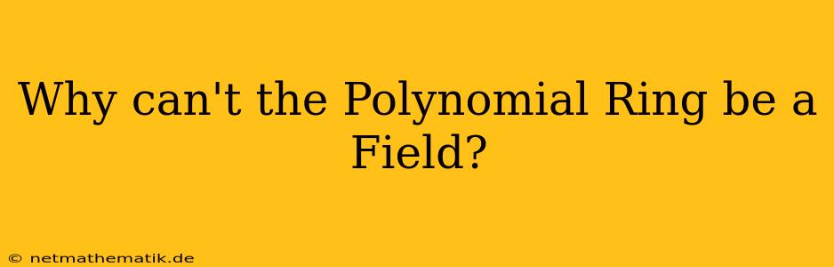 Why Can't The Polynomial Ring Be A Field?